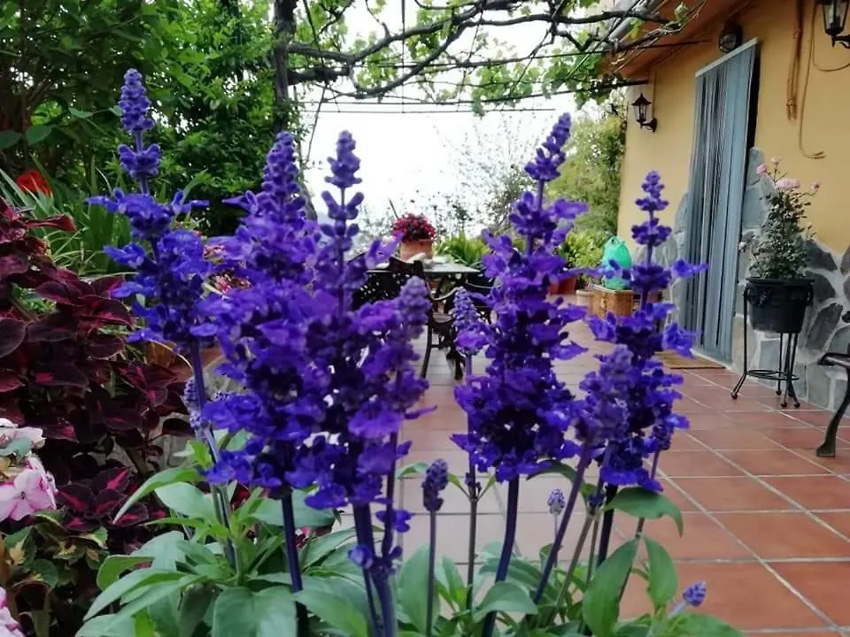 말라가 Cortijo Buenavista 빌라 0*,  스페인