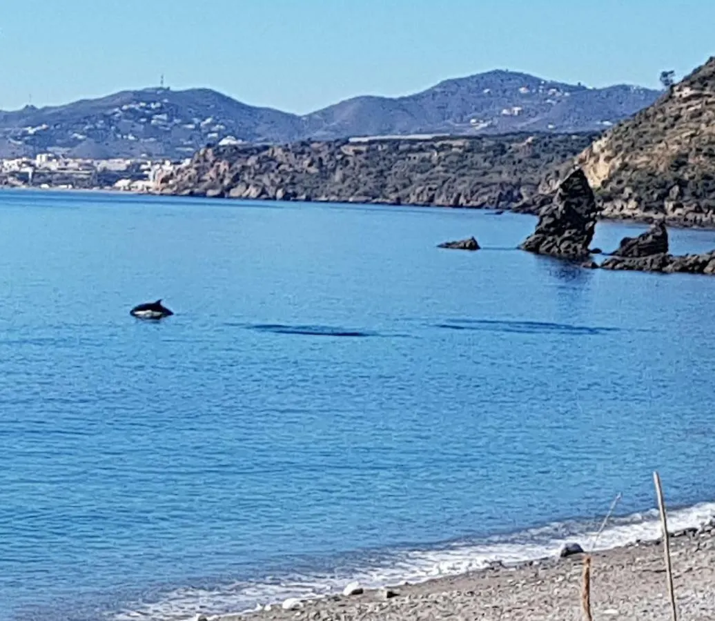 말라가 Cortijo Buenavista 빌라
