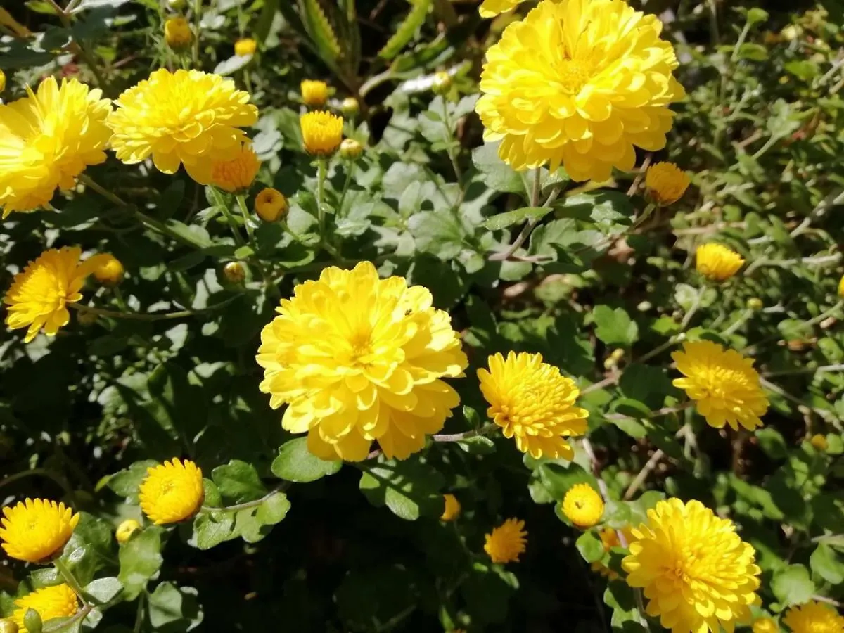 말라가 Cortijo Buenavista 빌라 스페인