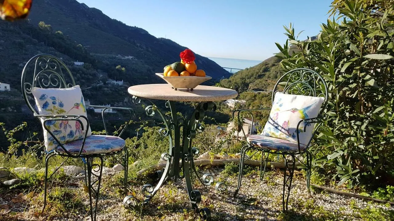Cortijo Buenavista Villa Malaga
