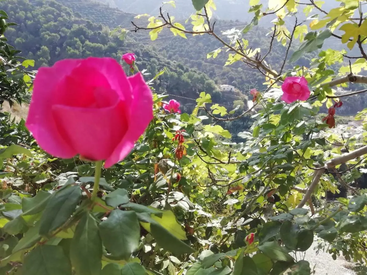 Holiday home Cortijo Buenavista Villa Malaga