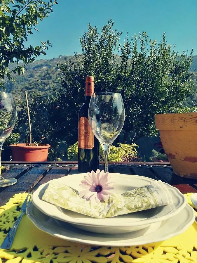 Cortijo Buenavista Villa Malaga